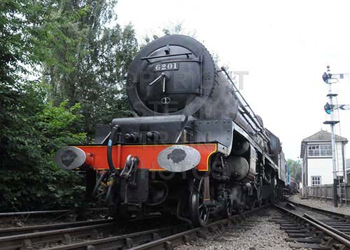 See large image